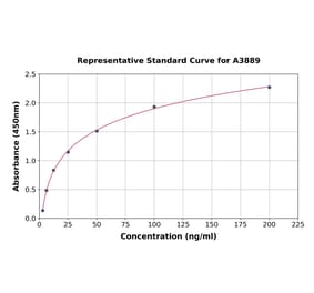 Standard Curve - Rabbit MMP13 ELISA Kit (A3889) - Antibodies.com