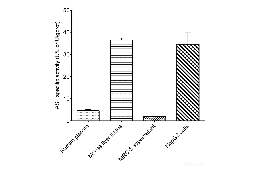 Validation Data - Aspartate Aminotransferase Activity Assay Kit (A302453)
