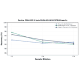Linearity - Canine CCL4/MIP-1 beta ELISA Kit (A302573) - Antibodies.com