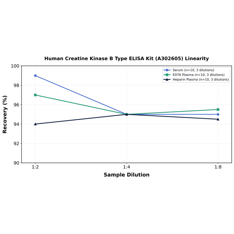 Linearity - Human Creatine Kinase B Type ELISA Kit (A302605) - Antibodies.com