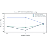 Linearity - Human DIPP ELISA Kit (A302638) - Antibodies.com