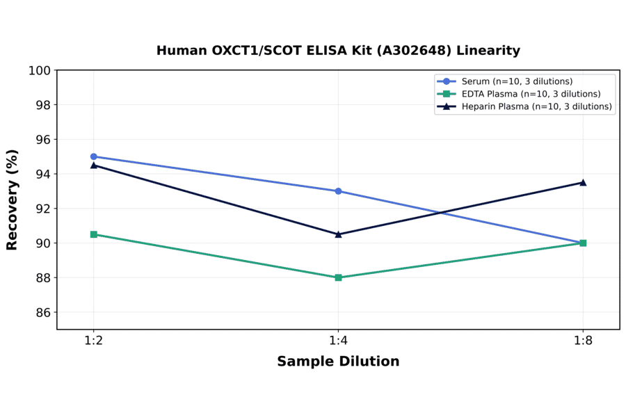 Linearity - Human OXCT1/SCOT ELISA Kit (A302648) - Antibodies.com