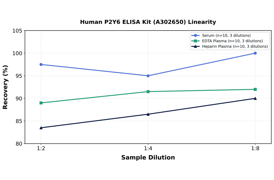 Linearity - Human P2Y6 ELISA Kit (A302650) - Antibodies.com