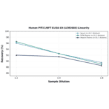 Linearity - Human PITX1/BFT ELISA Kit (A302666) - Antibodies.com