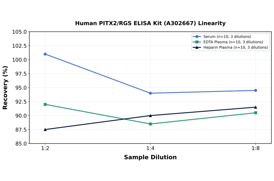 Linearity - Human PITX2/RGS ELISA Kit (A302667) - Antibodies.com
