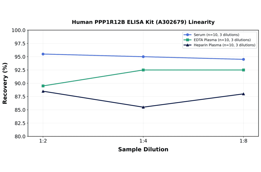 Linearity - Human PPP1R12B ELISA Kit (A302679) - Antibodies.com
