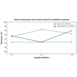 Linearity - Human Proteasome 20S C2/HC2 ELISA Kit (A302684) - Antibodies.com