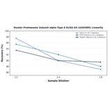 Linearity - Human Proteasome Subunit alpha Type 6 ELISA Kit (A302685) - Antibodies.com