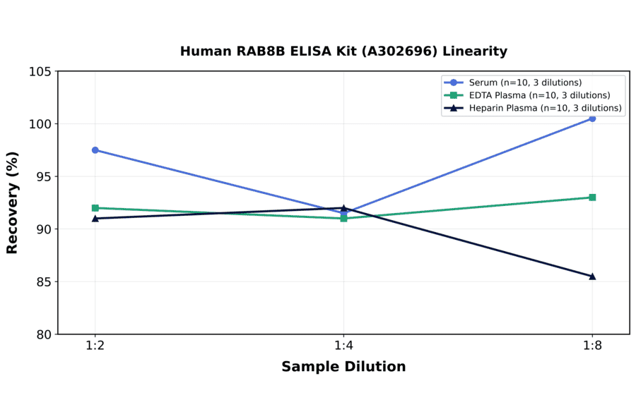 Linearity - Human RAB8B ELISA Kit (A302696) - Antibodies.com