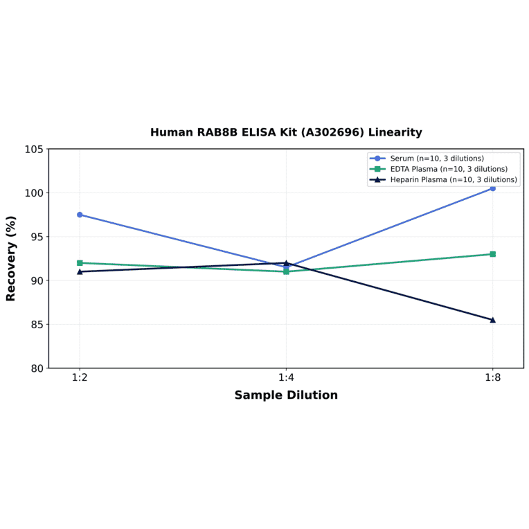 Linearity - Human RAB8B ELISA Kit (A302696) - Antibodies.com