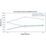 Linearity - Human RACK1 ELISA Kit (A302698) - Antibodies.com