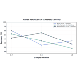 Linearity - Human Raf1 ELISA Kit (A302700) - Antibodies.com