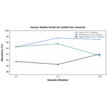 Linearity - Human Raftlin ELISA Kit (A302710) - Antibodies.com