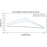 Linearity - Human Rabphilin 3A ELISA Kit (A302716) - Antibodies.com