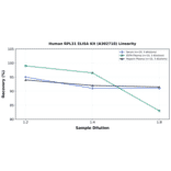 Linearity - Human RPL31 ELISA Kit (A302718) - Antibodies.com