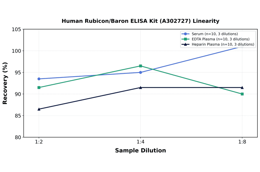 Linearity - Human Rubicon/Baron ELISA Kit (A302727) - Antibodies.com