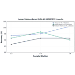 Linearity - Human Rubicon/Baron ELISA Kit (A302727) - Antibodies.com