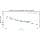 Linearity - Human KMT1E/SETDB1 ELISA Kit (A302739) - Antibodies.com