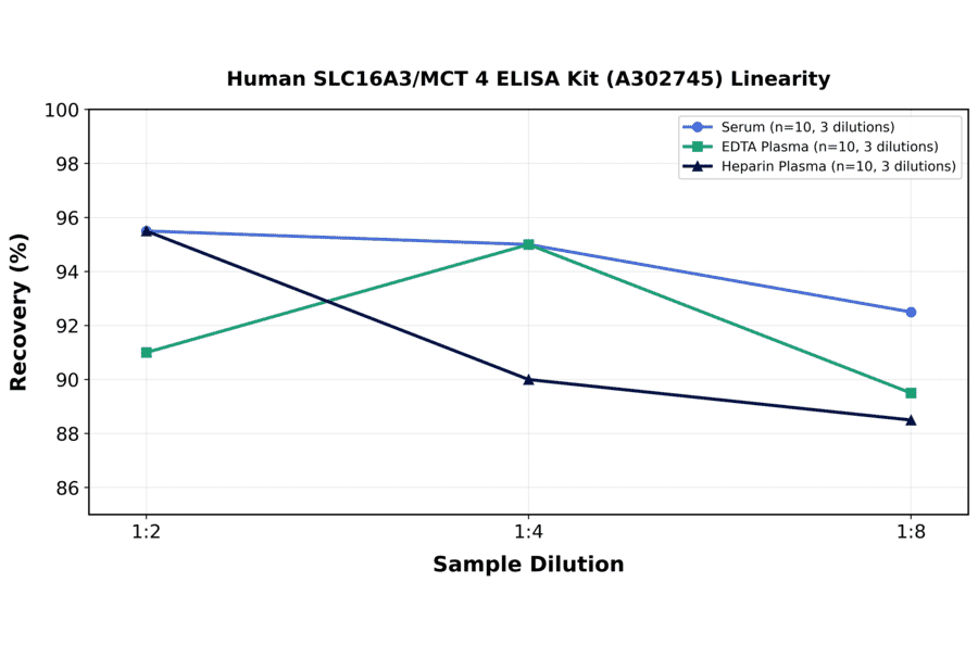 Linearity - Human SLC16A3/MCT 4 ELISA Kit (A302745) - Antibodies.com