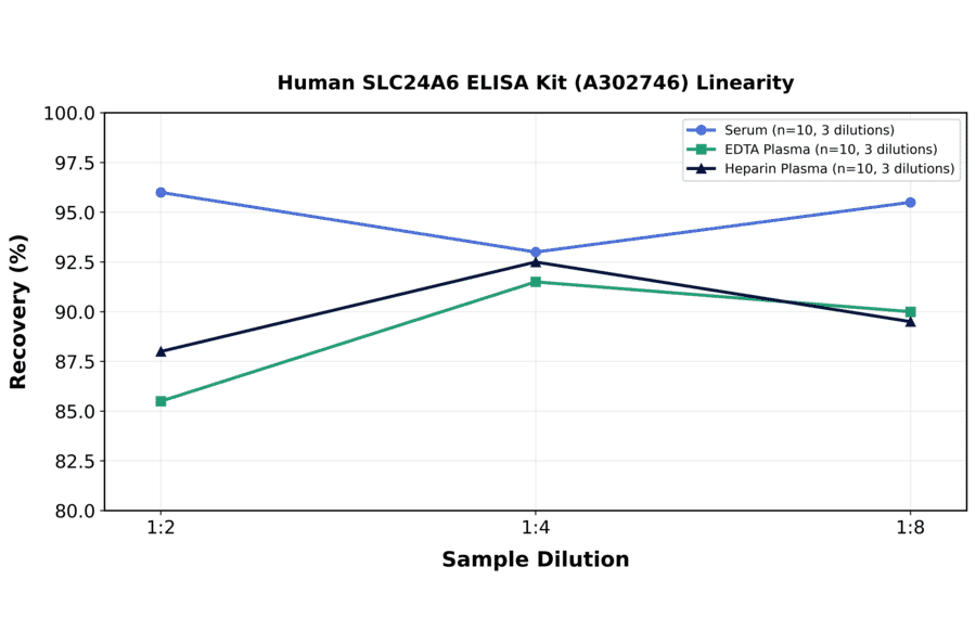 Linearity - Human SLC24A6 ELISA Kit (A302746) - Antibodies.com
