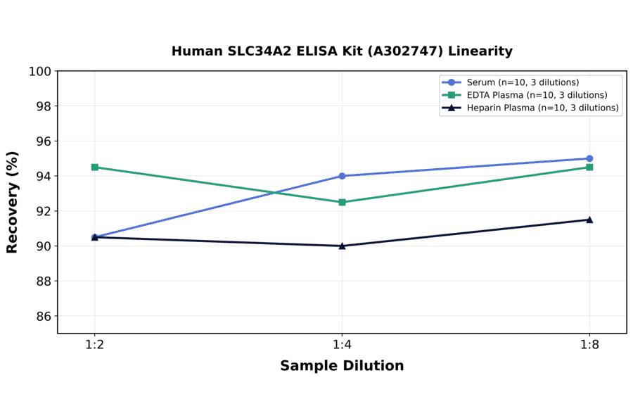 Linearity - Human SLC34A2 ELISA Kit (A302747) - Antibodies.com