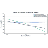 Linearity - Human SLFN11 ELISA Kit (A302748) - Antibodies.com