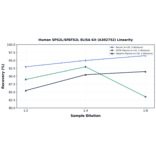 Linearity - Human SPS2L/SPATS2L ELISA Kit (A302752) - Antibodies.com