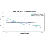Linearity - Human SPHK2 ELISA Kit (A302754) - Antibodies.com