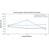 Linearity - Human Synapsin I ELISA Kit (A302770) - Antibodies.com
