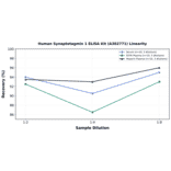 Linearity - Human Synaptotagmin 1 ELISA Kit (A302771) - Antibodies.com