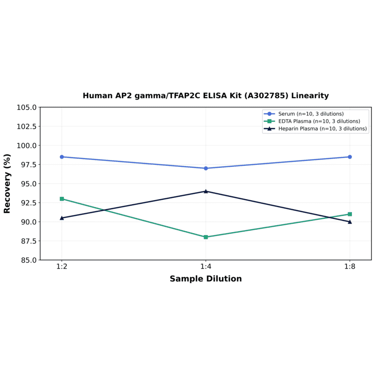 Linearity - Human AP2 gamma/TFAP2C ELISA Kit (A302785) - Antibodies.com