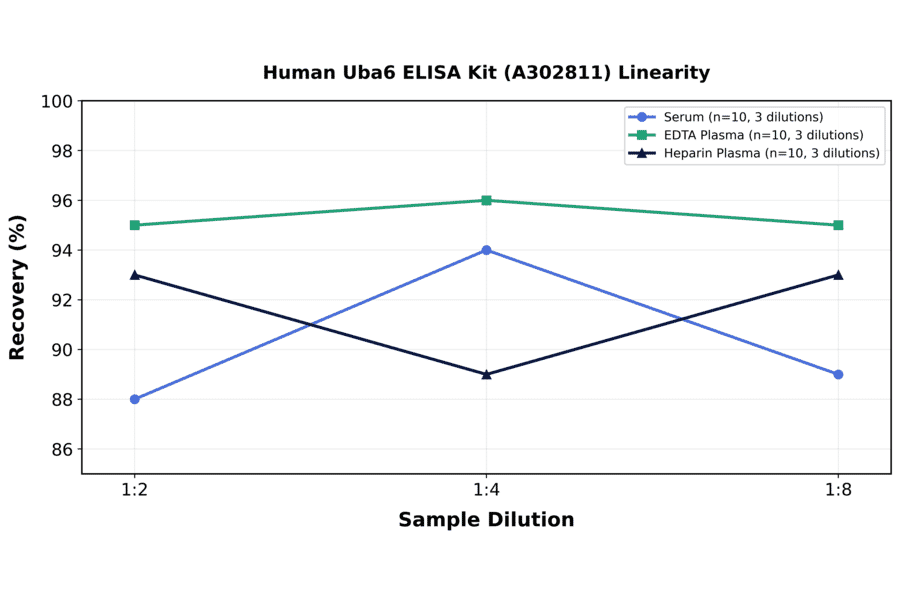 Linearity - Human Uba6 ELISA Kit (A302811) - Antibodies.com