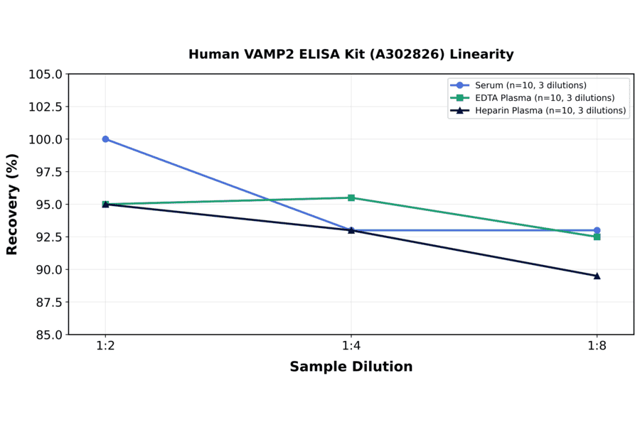 Linearity - Human VAMP2 ELISA Kit (A302826) - Antibodies.com