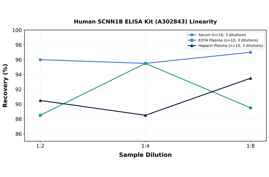 Linearity - Human SCNN1B ELISA Kit (A302843) - Antibodies.com