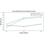 Linearity - Human PRAS40 ELISA Kit (A302853) - Antibodies.com