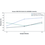 Linearity - Human HSD17B3 ELISA Kit (A302889) - Antibodies.com