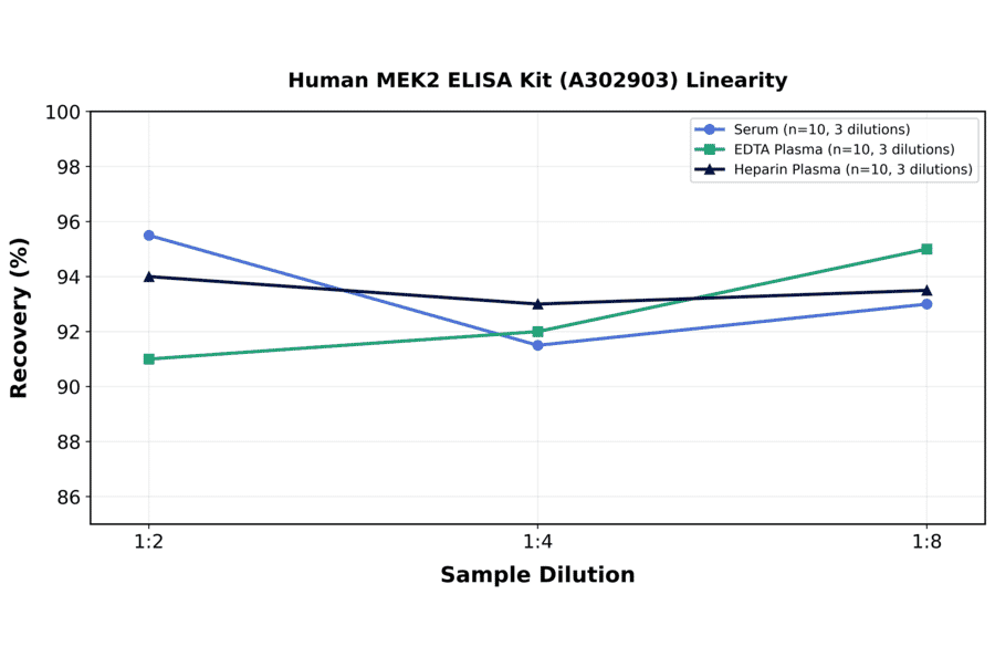 Linearity - Human MEK2 ELISA Kit (A302903) - Antibodies.com