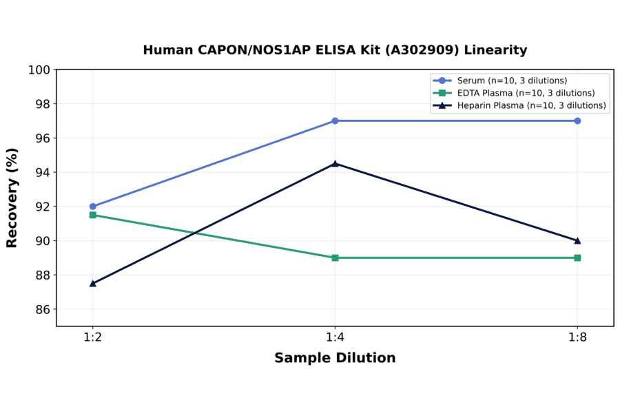 Linearity - Human CAPON/NOS1AP ELISA Kit (A302909) - Antibodies.com