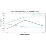 Linearity - Human CAPON/NOS1AP ELISA Kit (A302909) - Antibodies.com