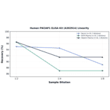 Linearity - Human PIK3AP1 ELISA Kit (A302914) - Antibodies.com
