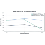 Linearity - Human Rheb2 ELISA Kit (A302918) - Antibodies.com