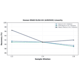 Linearity - Human RRAD ELISA Kit (A302920) - Antibodies.com