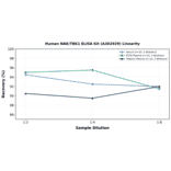 Linearity - Human NAK/TBK1 ELISA Kit (A302929) - Antibodies.com