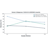 Linearity - Human Collagenase I ELISA Kit (A302940) - Antibodies.com
