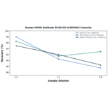 Linearity - Human MUSK Antibody ELISA Kit (A302943) - Antibodies.com