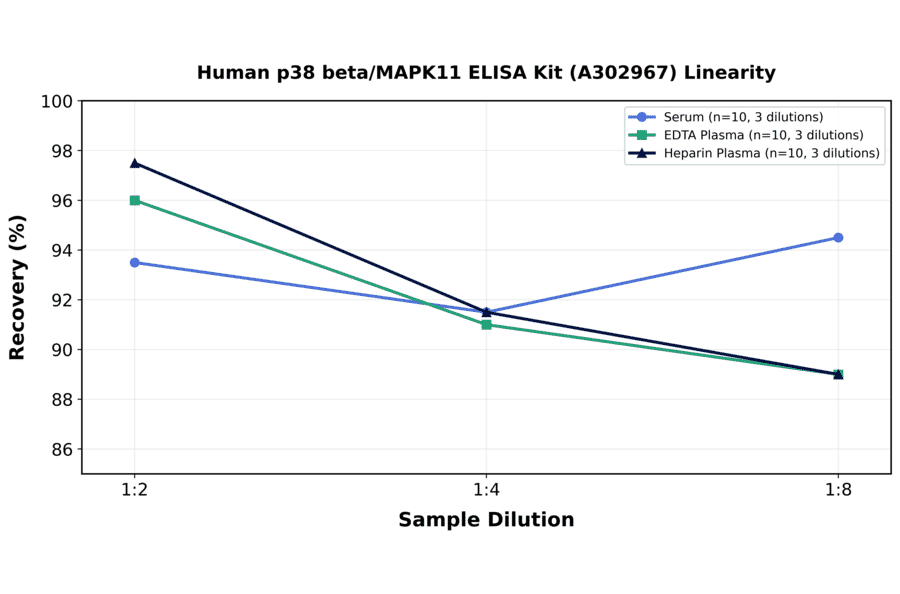 Linearity - Human p38 beta/MAPK11 ELISA Kit (A302967) - Antibodies.com
