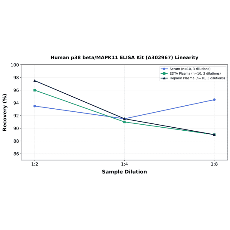 Linearity - Human p38 beta/MAPK11 ELISA Kit (A302967) - Antibodies.com