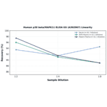 Linearity - Human p38 beta/MAPK11 ELISA Kit (A302967) - Antibodies.com