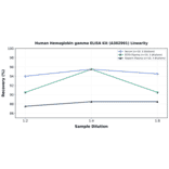 Linearity - Human Hemoglobin gamma ELISA Kit (A302991) - Antibodies.com