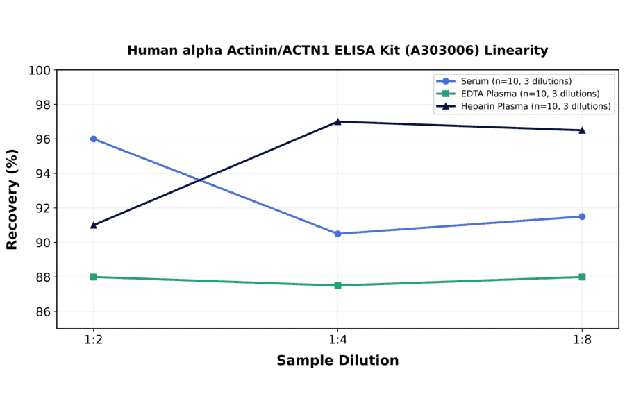 Linearity - Human alpha Actinin/ACTN1 ELISA Kit (A303006) - Antibodies.com